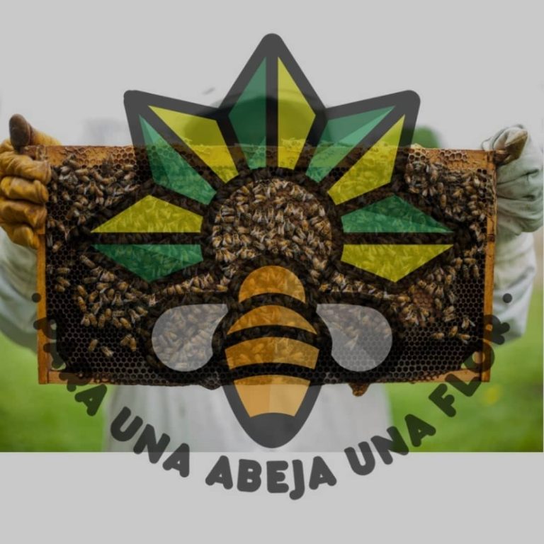 PARA UNA ABEJA UNA FLOR-4