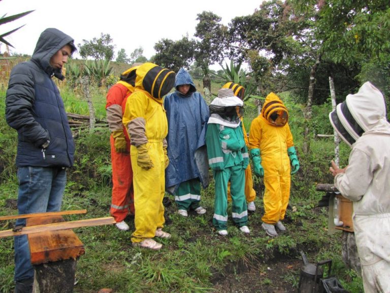 PARA UNA ABEJA UNA FLOR